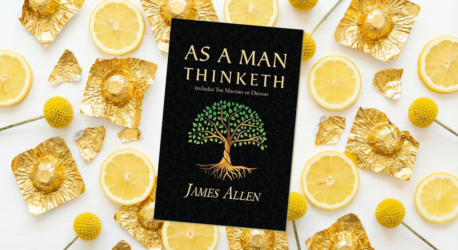 Cover of As a Man Thinketh by James Allen