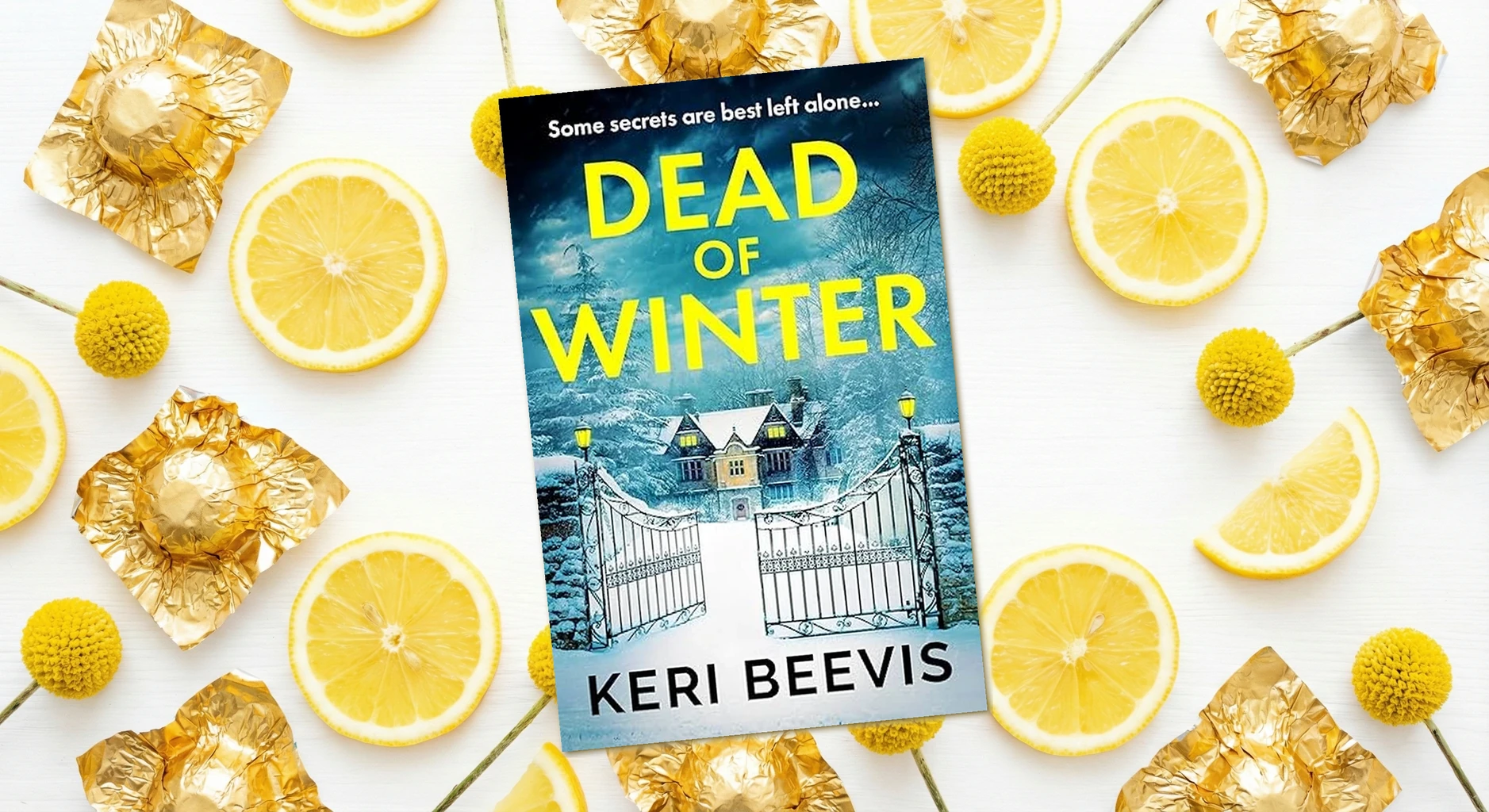 Cover of Dead of Winter by Keri Beevis