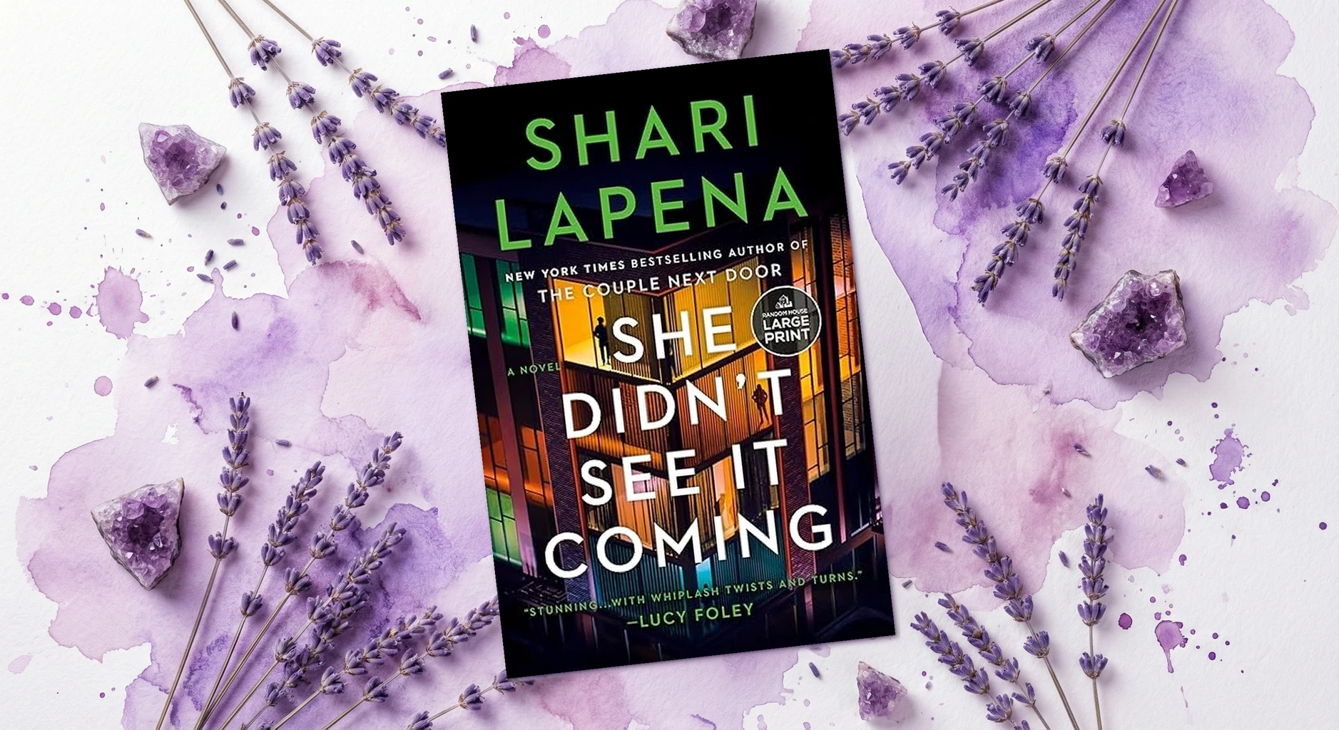 Cover of She Didn't See It Coming by Shari Lapena