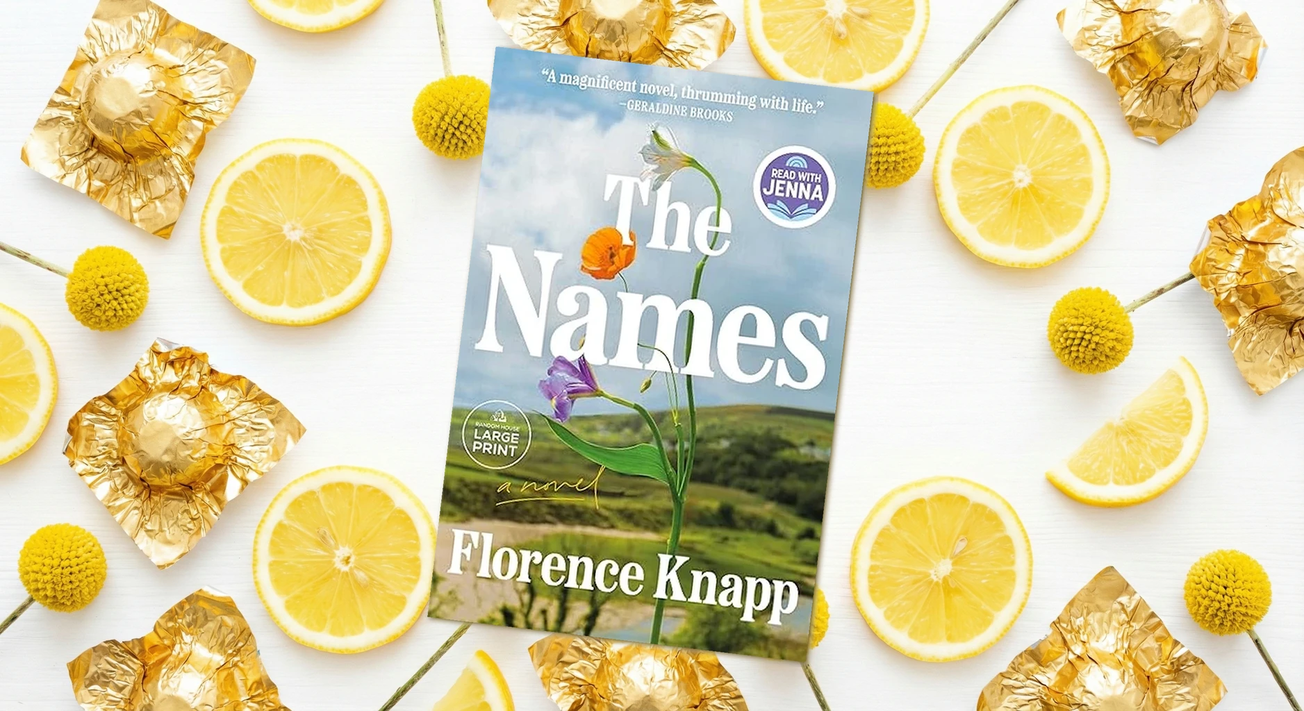 Cover of The Names by Florence Knapp
