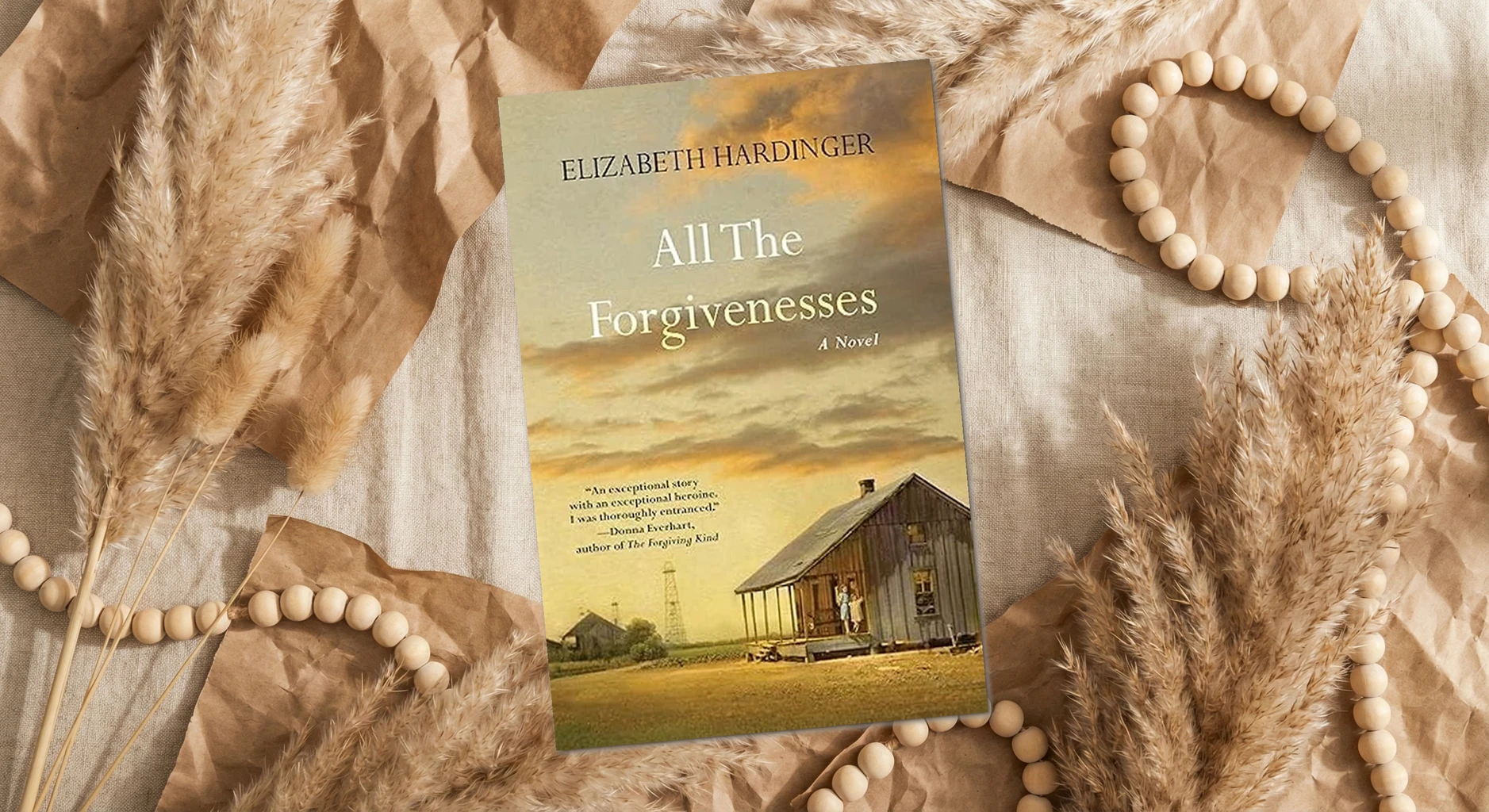 Cover of All the Forgivenesses by Elizabeth Hardinger